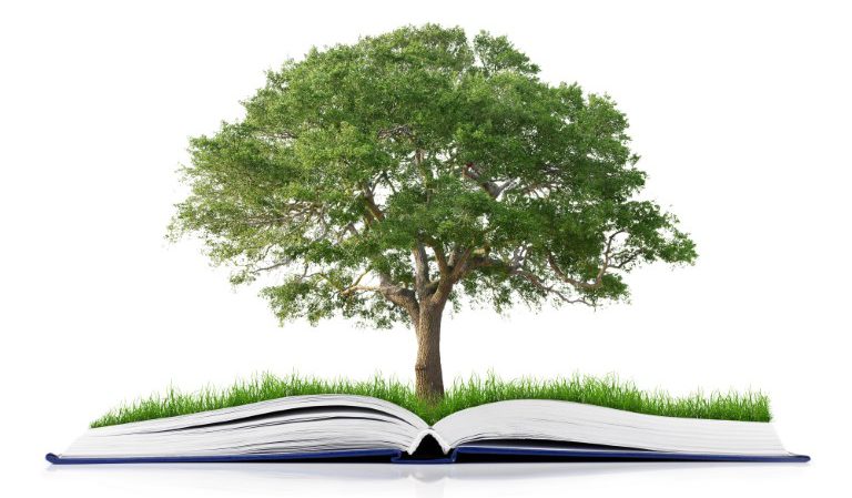 Tree in a book - growing a business through storytelling